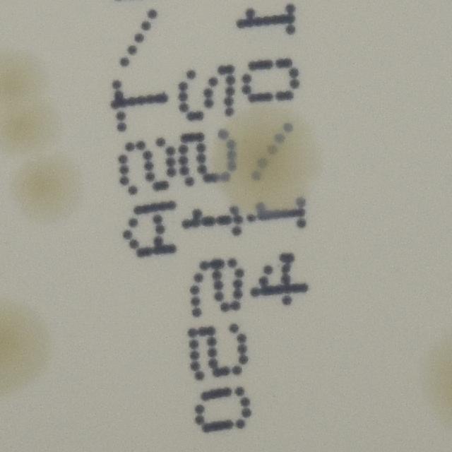 Dataset Image