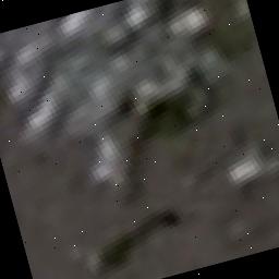 Dataset Image