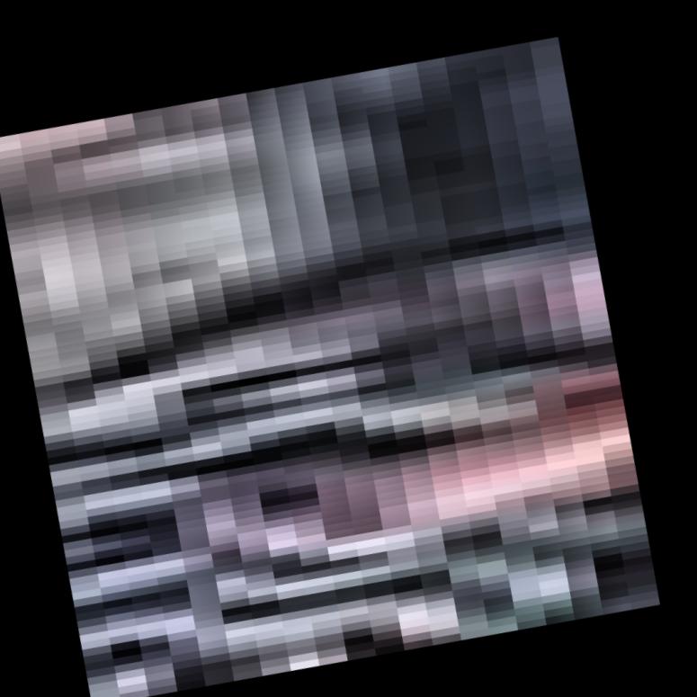 Dataset Image