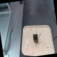 Dataset Image