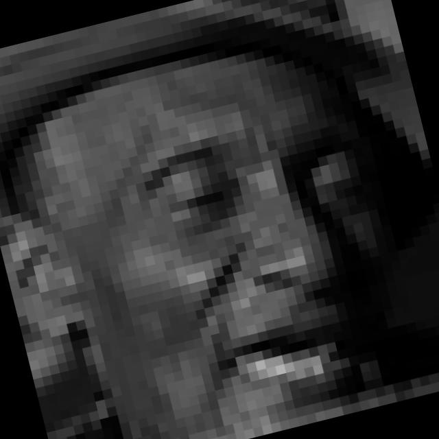 Dataset Image