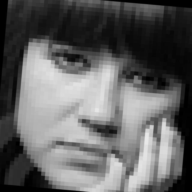 Dataset Image