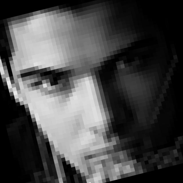 Dataset Image
