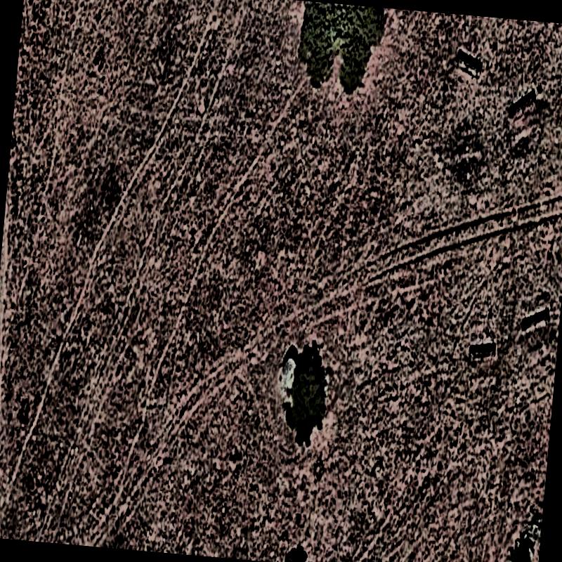 Dataset Image