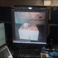 Dataset Image
