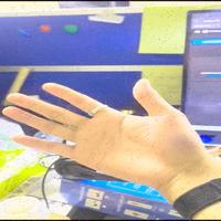 Dataset Image