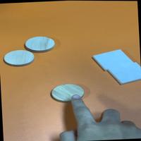Dataset Image