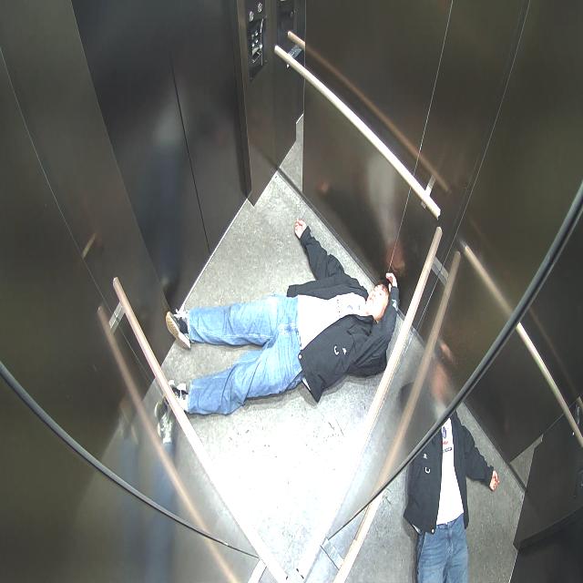 Dataset Image