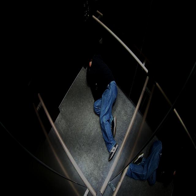 Dataset Image