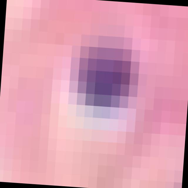 Dataset Image