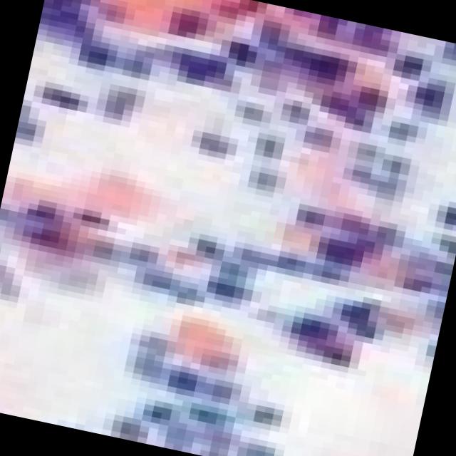 Dataset Image