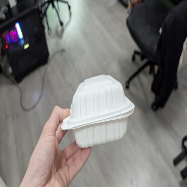 Dataset Image