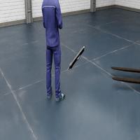 Dataset Image