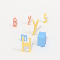 Dataset Image