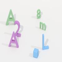 Dataset Image