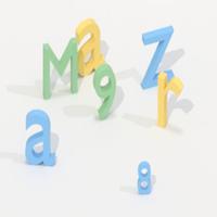 Dataset Image