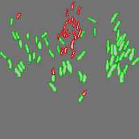 Annotation Visualization