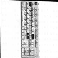 Dataset Image