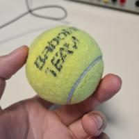 Dataset Image