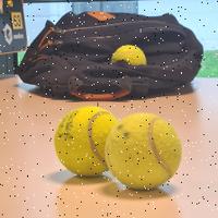 Dataset Image
