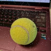 Dataset Image
