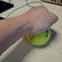 Dataset Image
