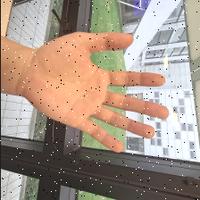 Dataset Image