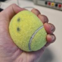 Dataset Image