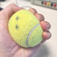 Dataset Image