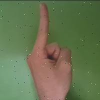 Dataset Image