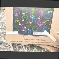 Dataset Image