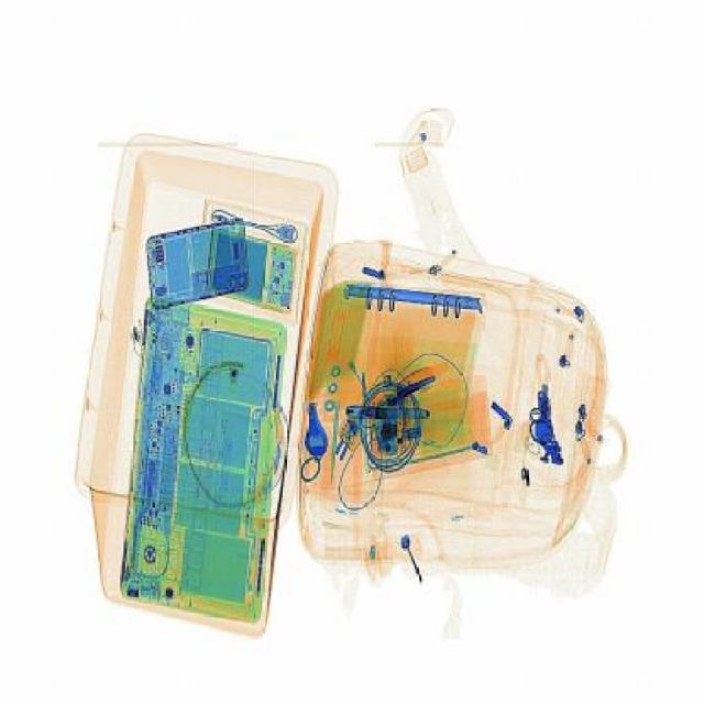 Dataset Image