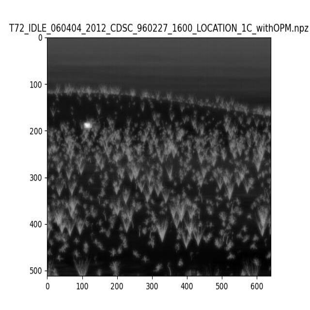 Dataset Image