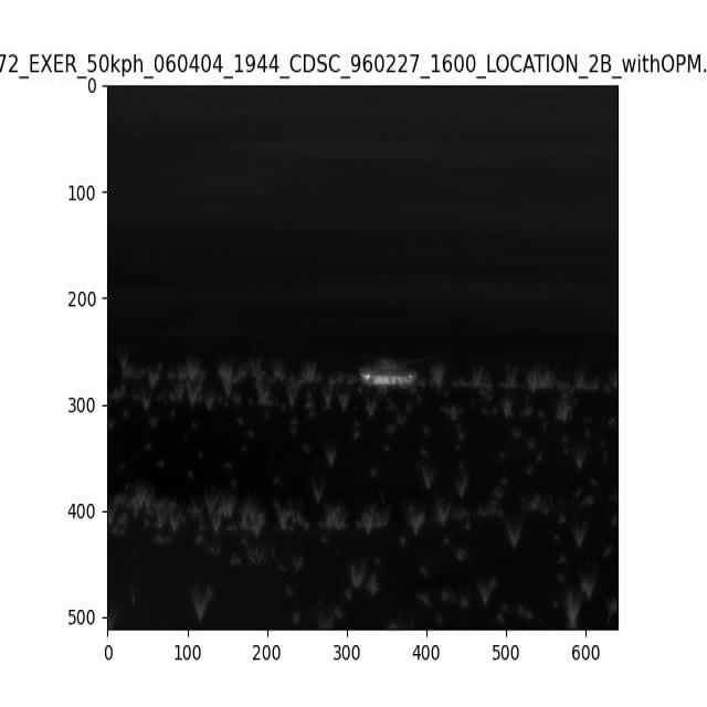 Dataset Image