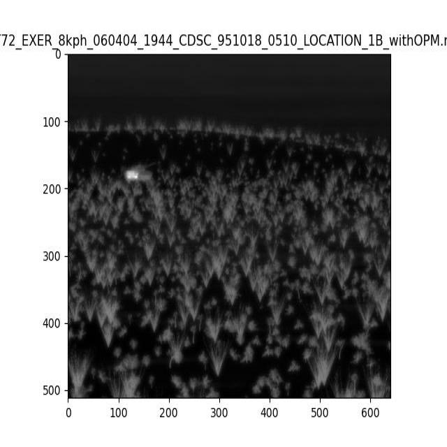 Dataset Image