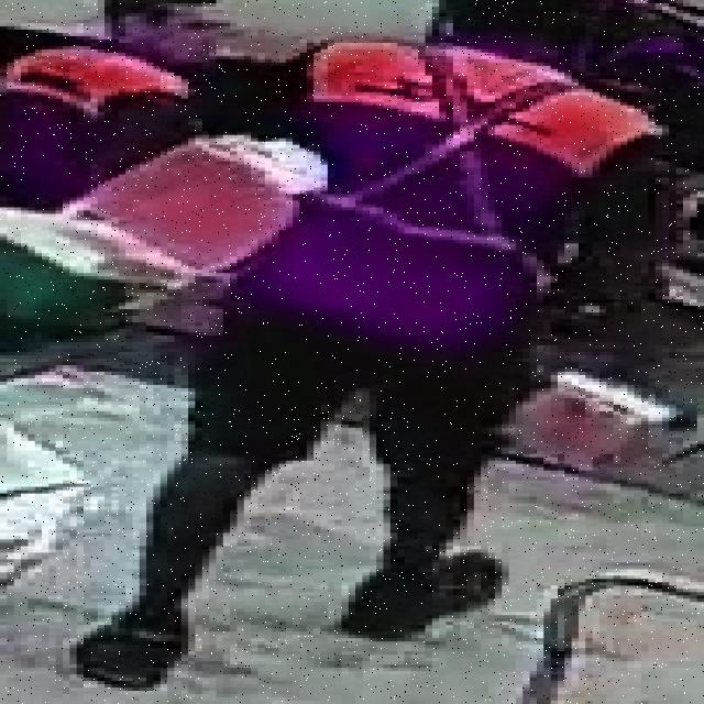 Dataset Image