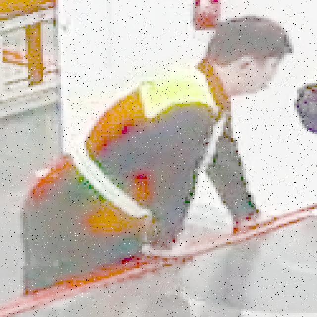 Dataset Image