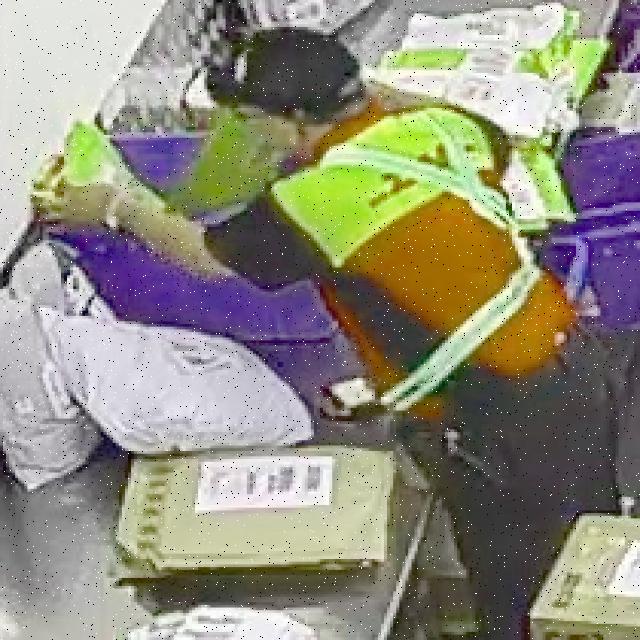 Dataset Image