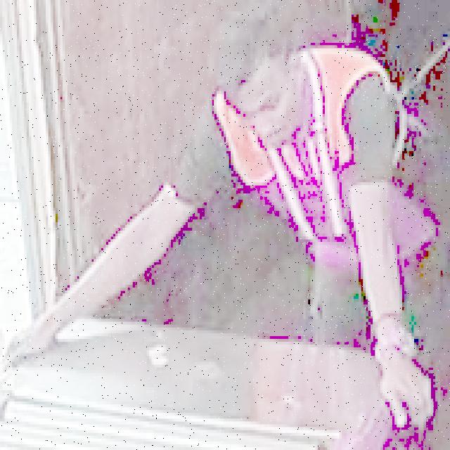 Dataset Image