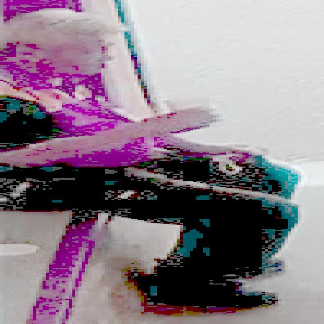Dataset Image
