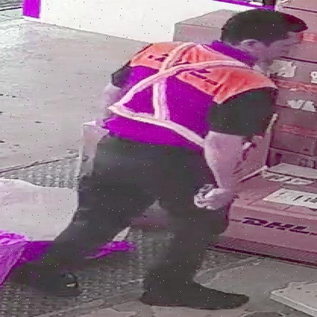 Dataset Image