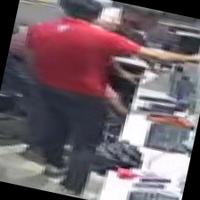 Dataset Image