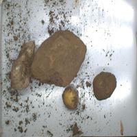Dataset Image