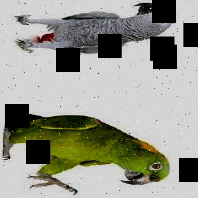 Dataset Image