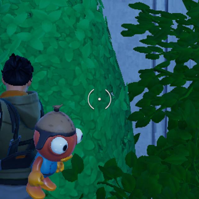 Dataset Image