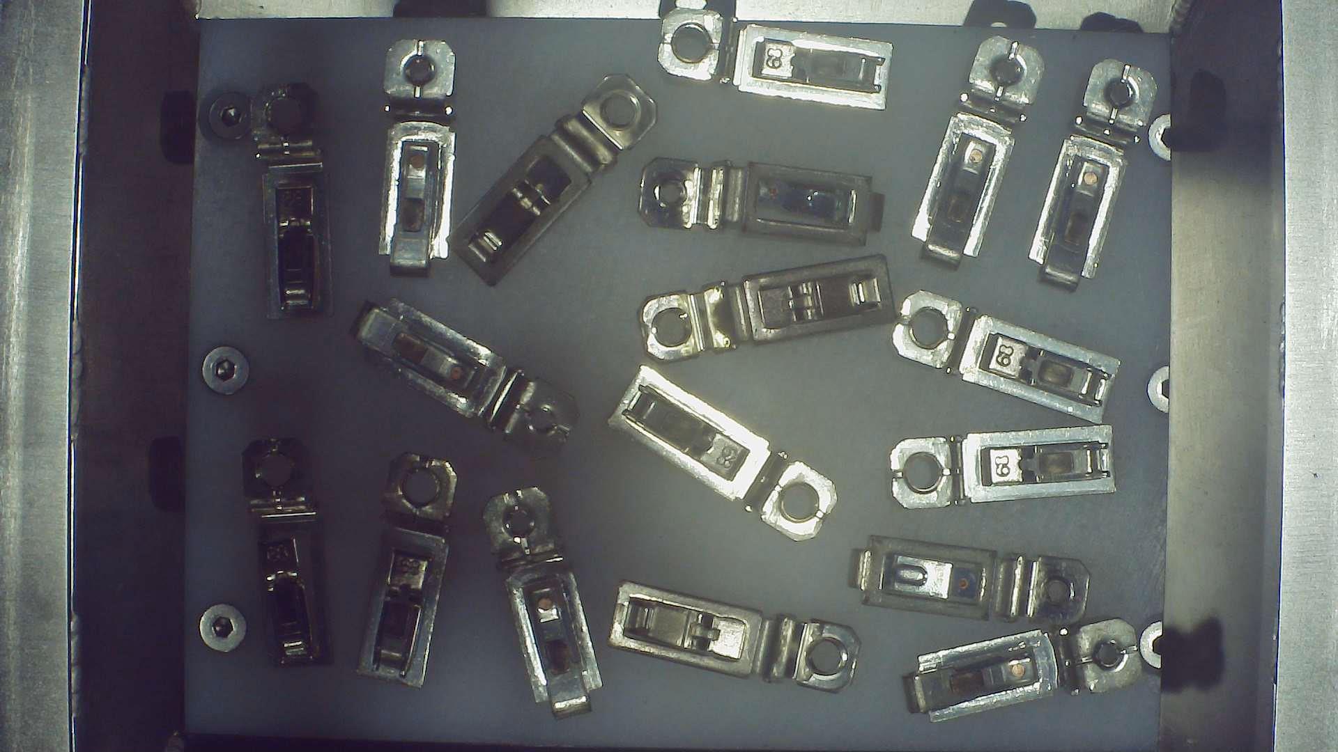 Dataset Image