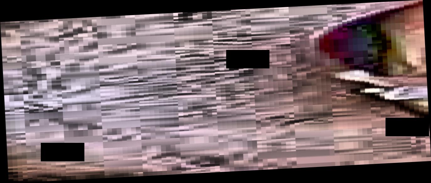 Dataset Image