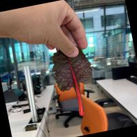 Dataset Image