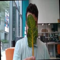 Dataset Image