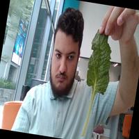 Dataset Image